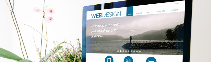 web design for dummies